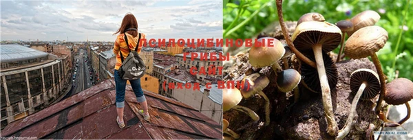 героин Приозерск