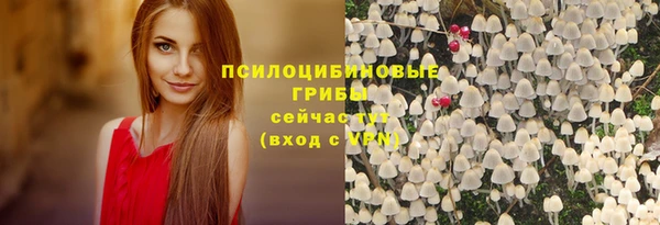 apvp Балабаново